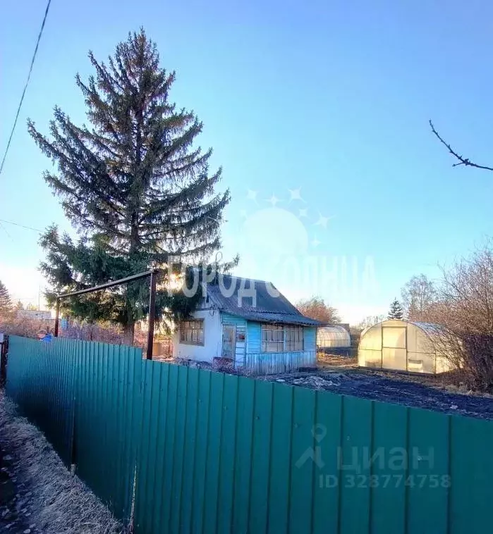 Дом в Омская область, Омск СОСН Березка тер.,  (20 м) - Фото 1