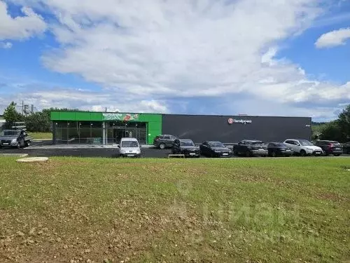 Торговая площадь в Московская область, Истра муниципальный округ, д. ... - Фото 2