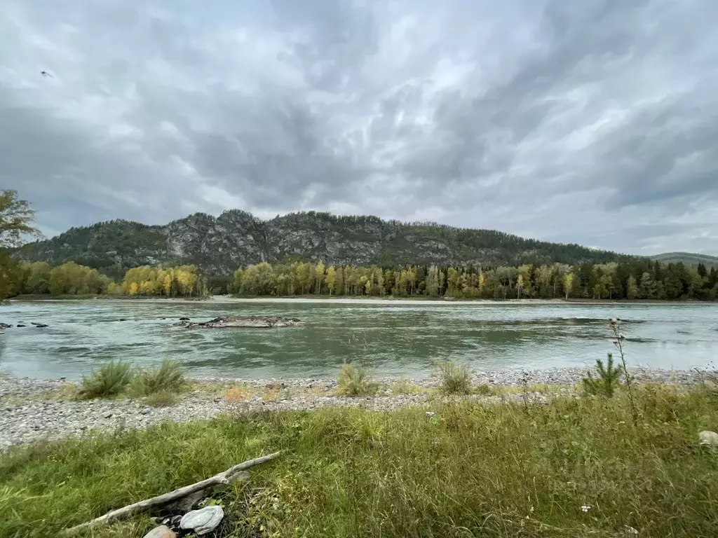 участок в алтай, майминский район р-256 чуйский тракт, 466-й км (10.0 . - Фото 0