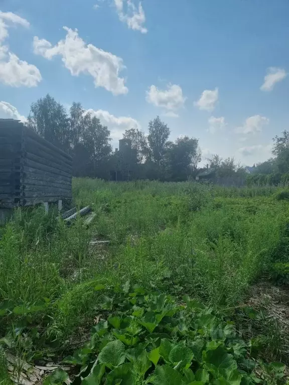 Участок в Московская область, Солнечногорск городской округ, д. ... - Фото 0