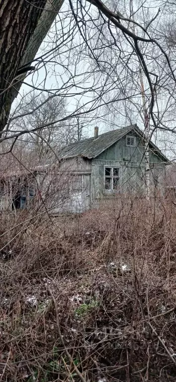 Дом в Тамбовская область, Староюрьевский муниципальный округ, д. ... - Фото 1