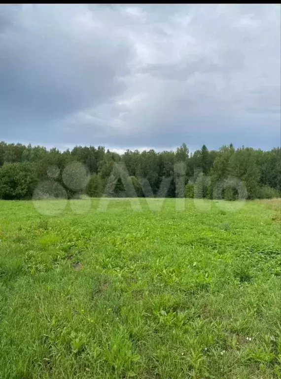 Участок 52,6 сот. (ИЖС) - Фото 0