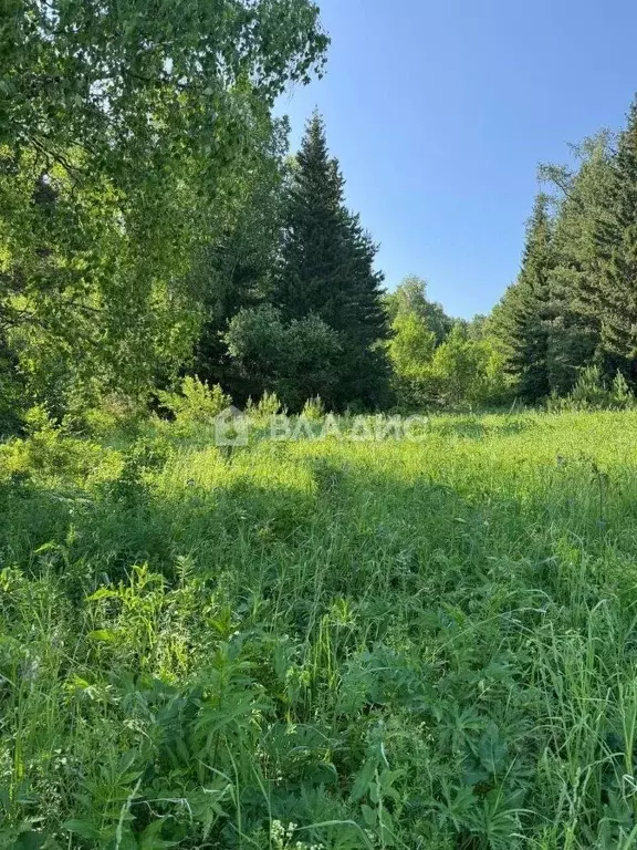 Участок в Нижегородская область, Семеновский муниципальный округ, д. ... - Фото 2