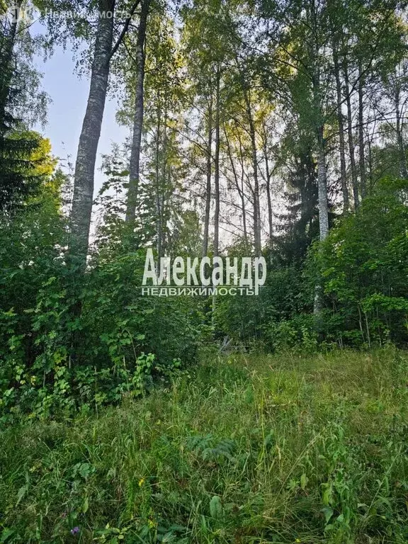 Участок в Республика Карелия, Лахденпохский муниципальный округ, ... - Фото 2