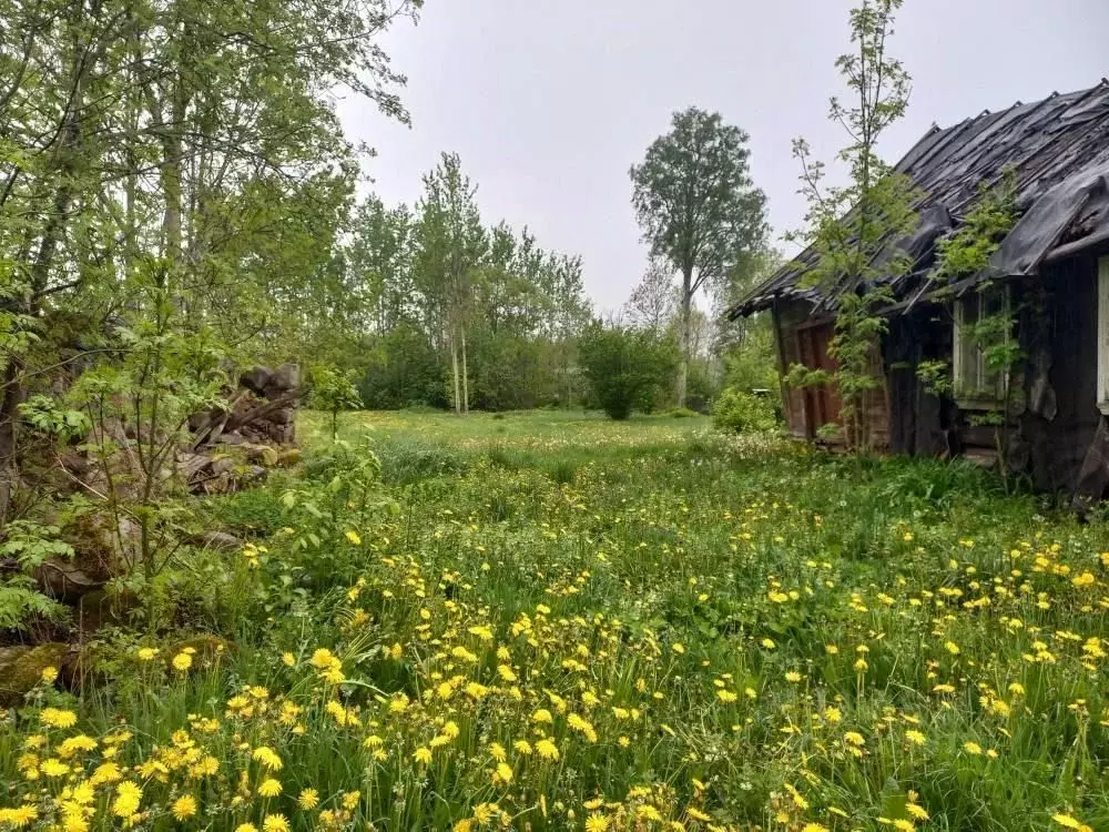 Дом в Псковская область, Печорский муниципальный округ, д. ... - Фото 2
