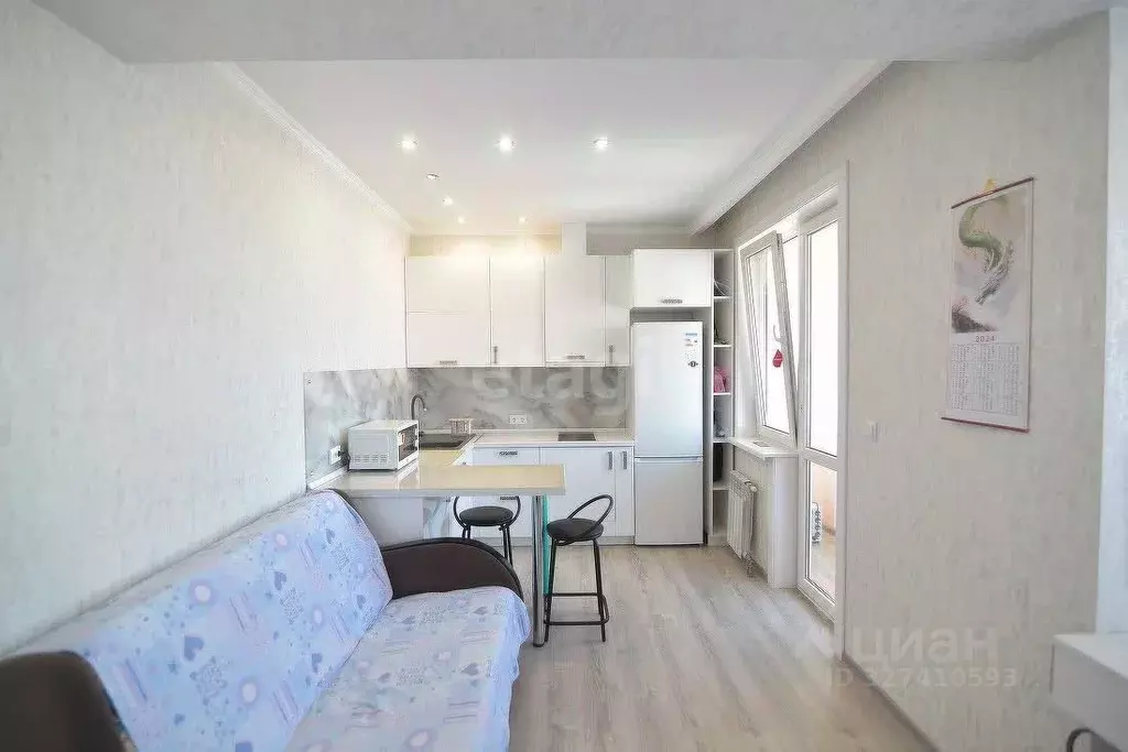 Студия Сахалинская область, Южно-Сахалинск ул. Ленина, 563к2 (32.6 м) - Фото 2