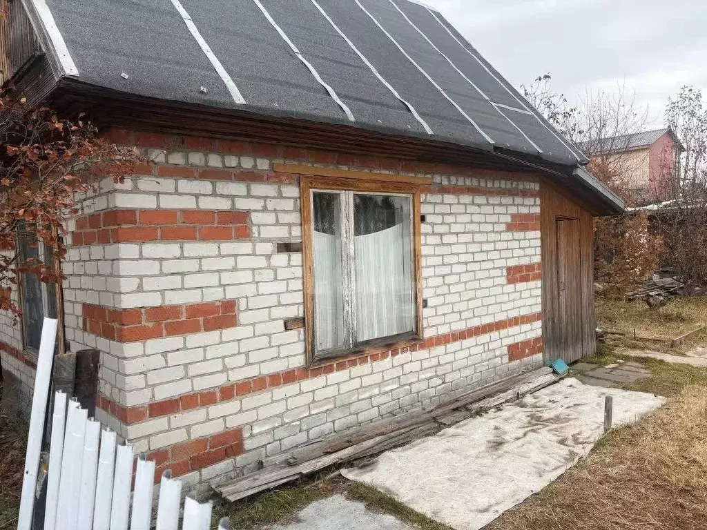 Участок в Тюменская область, Тюмень Строитель-3 СНТ, ул. Западная, 327 ... - Фото 1