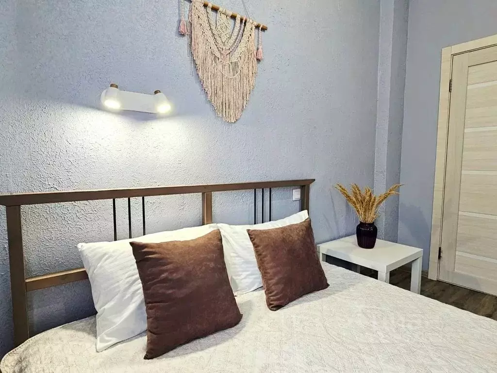 1-к кв. Воронежская область, Воронеж просп. Революции, 26/28 (25.0 м) - Фото 2