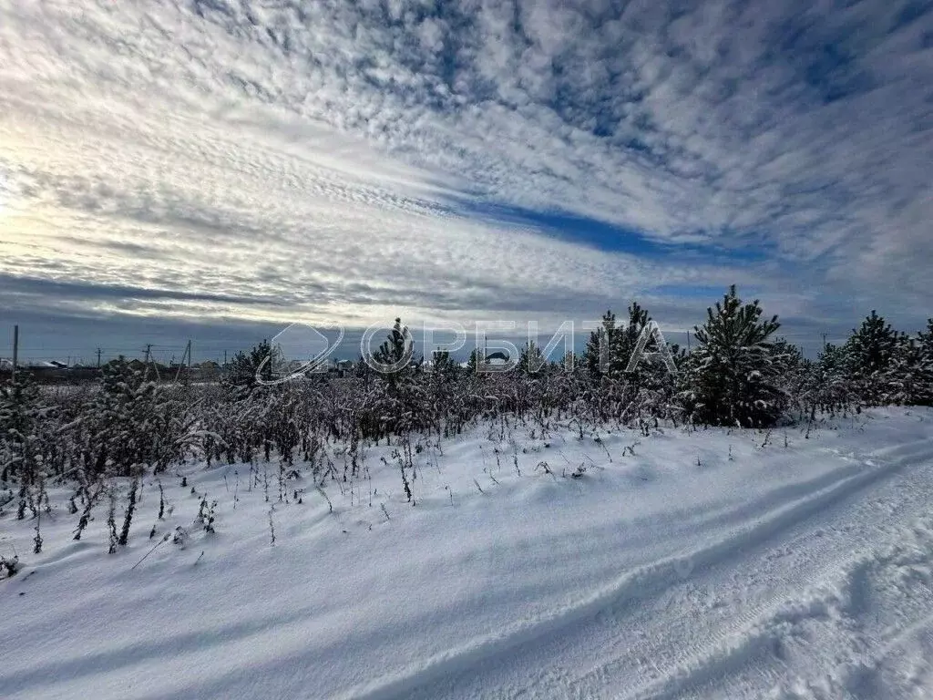 Участок в Тюменская область, Тюменский муниципальный округ, д. ... - Фото 2