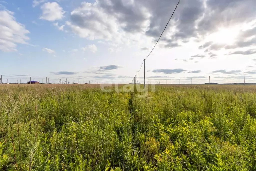 Участок в Тюменская область, Тюменский муниципальный округ, д. ... - Фото 1