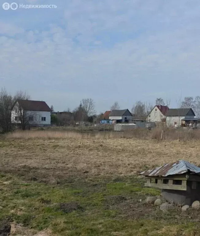 Участок в Калининградская область, Гурьевский муниципальный округ, ... - Фото 2