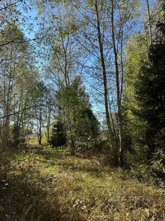 Участок в Тверская область, Конаковский муниципальный округ, ... - Фото 1