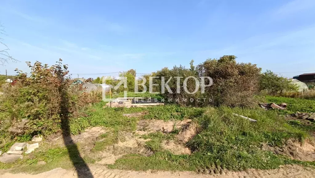 Участок в Костромская область, Кострома Спутник-2 СНТ,  (5.5 сот.) - Фото 2