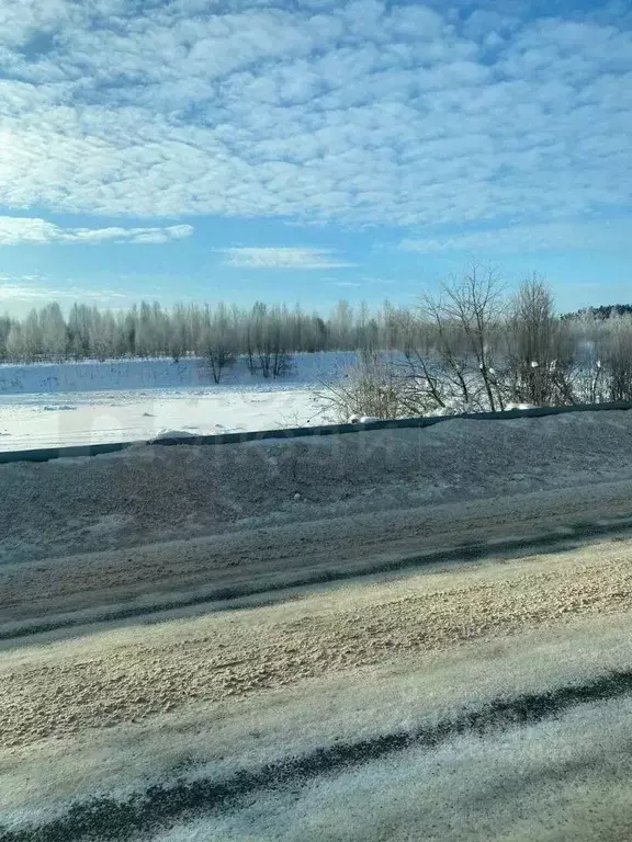 Участок в Новгородская область, Боровичский район, Опеченское с/пос, ... - Фото 1