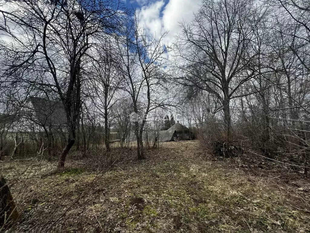 Участок в Московская область, муниципальный округ Зарайск, деревня ... - Фото 2