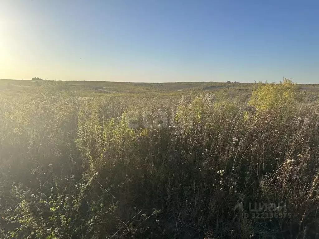 Участок в Брянская область, Брянский район, Отрадненское с/пос, с. ... - Фото 2