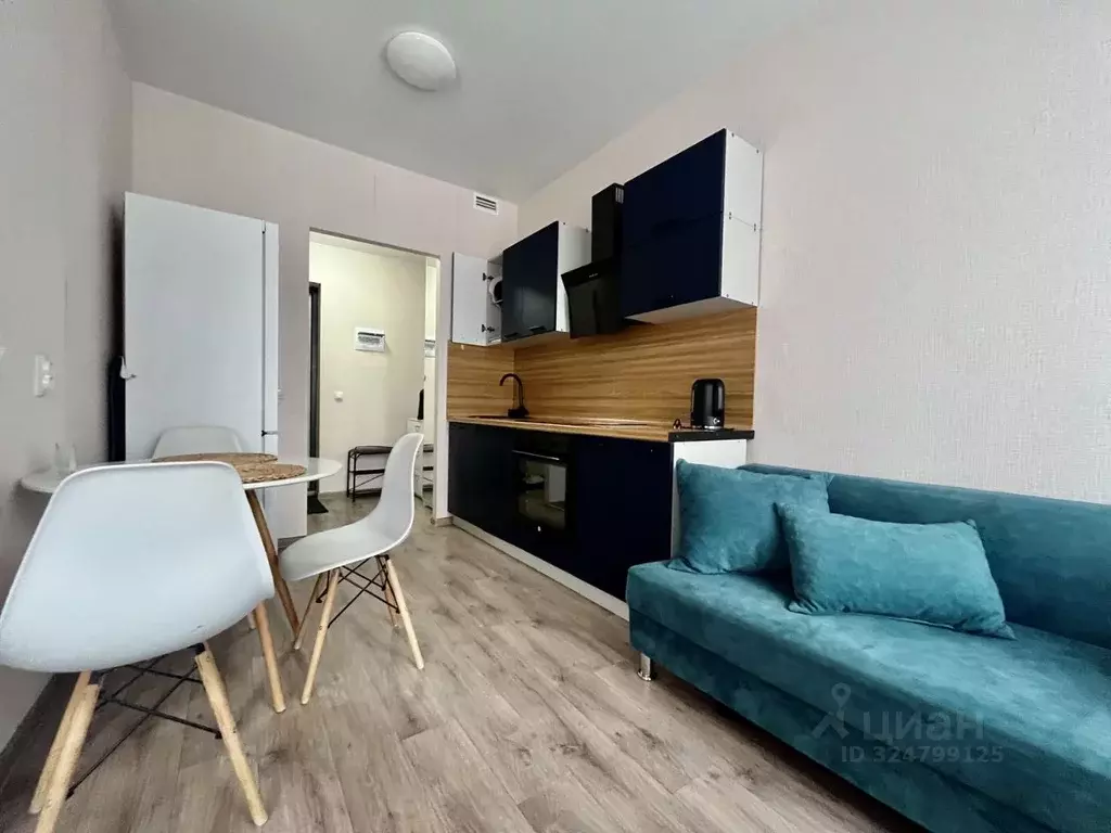 Студия Пермский край, Пермь ул. Сапфирная, 16 (25.8 м) - Фото 2