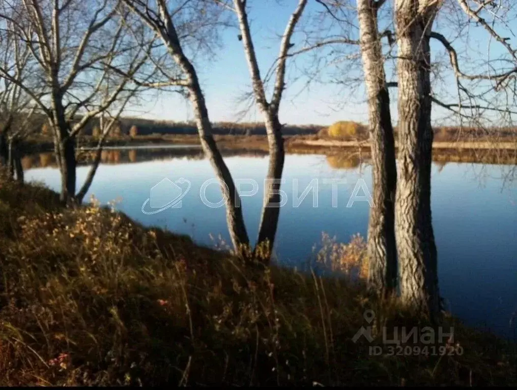 Участок в Тюменская область, Тюменский район, с. Луговое  (140.0 сот.) - Фото 0