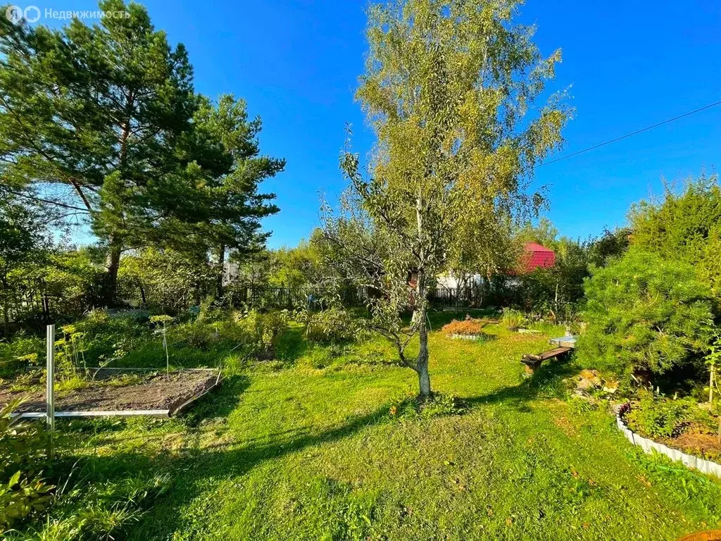 Дом в Орехово-Зуевский городской округ, СНТ Малахит (45 м) - Фото 0