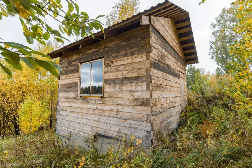 Дом в Алтай, Горно-Алтайск Электросигнал СНТ,  (16 м) - Фото 1