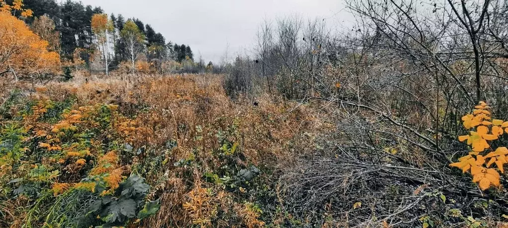 Участок в Нижегородская область, Богородский муниципальный округ, д. ... - Фото 1