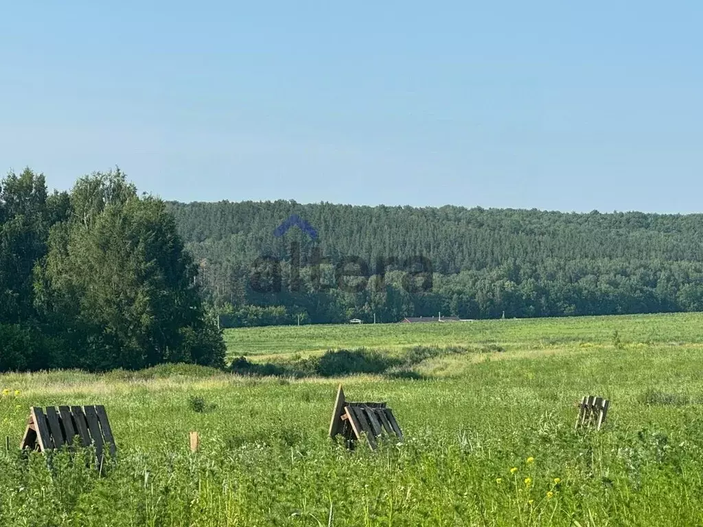 Участок в Татарстан, Высокогорское с/пос, с. Пановка ул. Полевая (13.0 ... - Фото 1