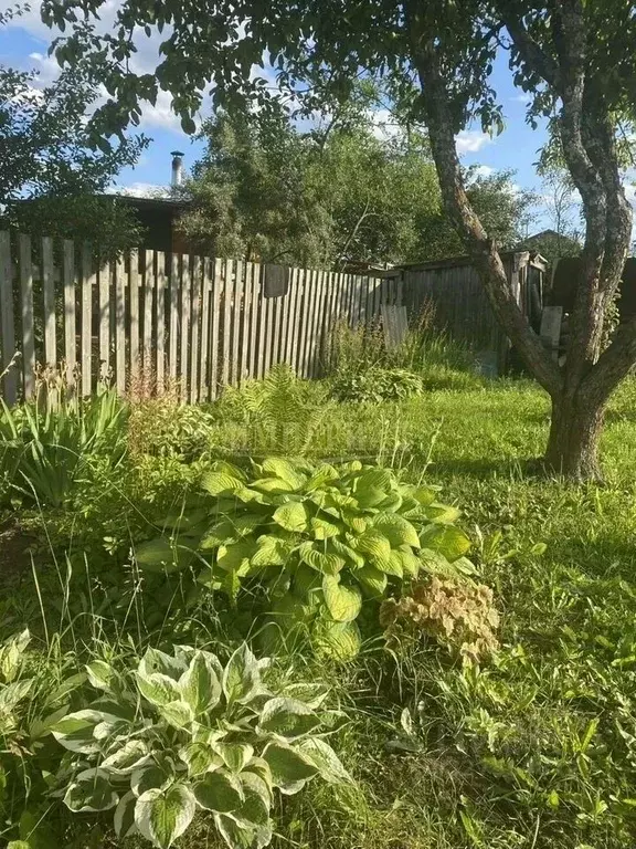 Участок в Марий Эл, Медведевский район, Сидоровское с/пос, Дружба СНТ, ... - Фото 1