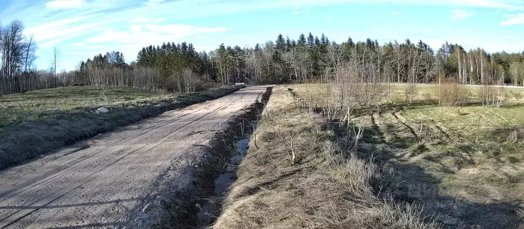 Участок в Ленинградская область, Выборгский район, Полянское с/пос, ... - Фото 1