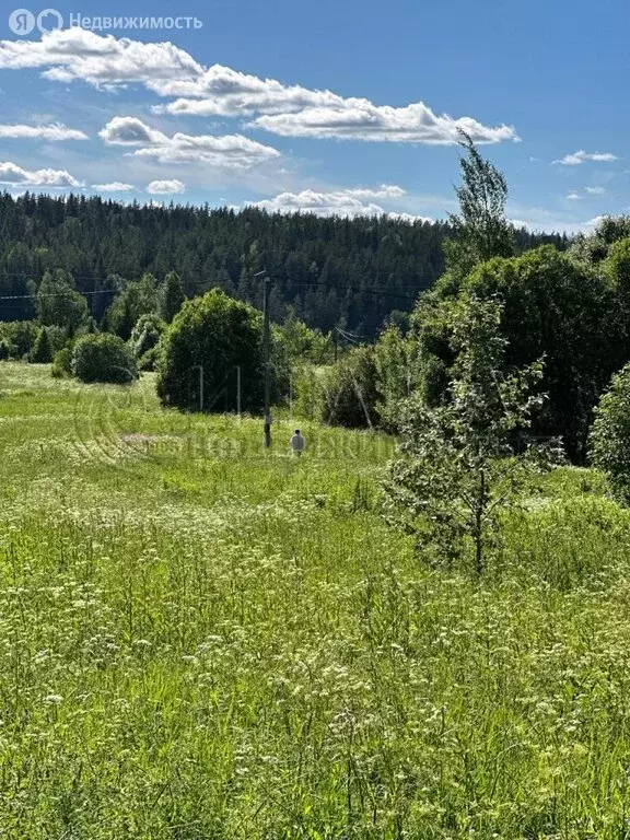 Участок в Выборгский район, Каменногорское городское поселение, ... - Фото 0