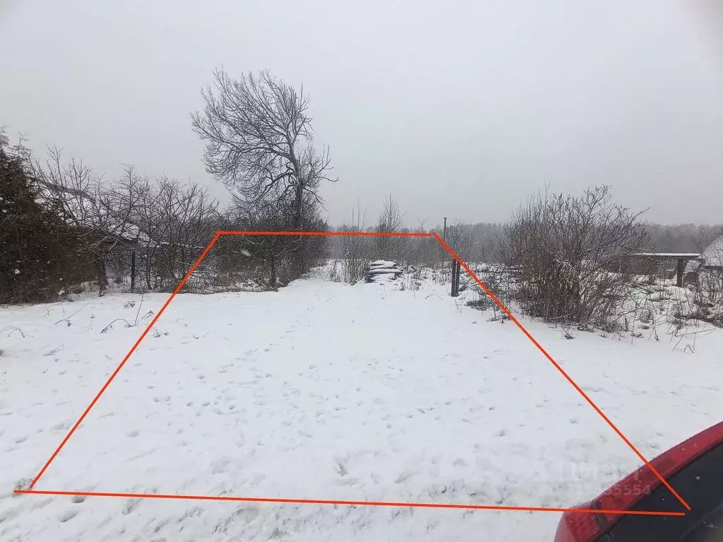 Участок в Новгородская область, Новгородский район, Ермолинское с/пос, ... - Фото 0