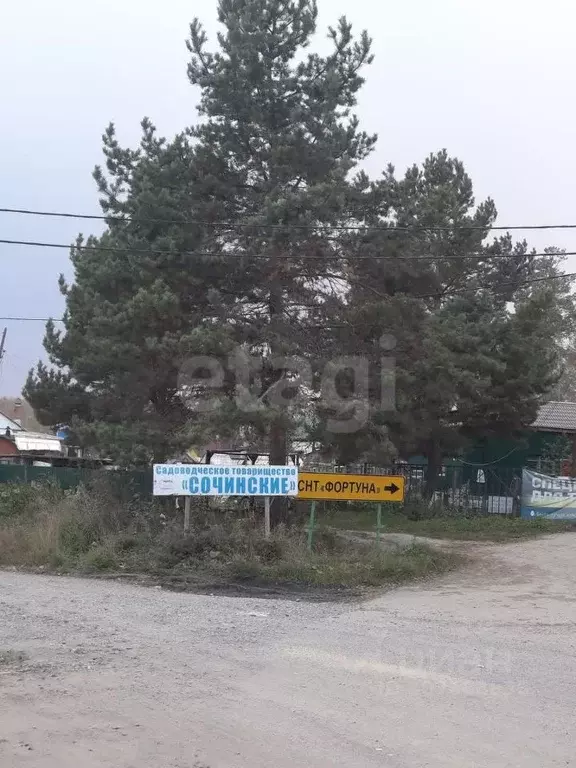 Участок в Тюменская область, Нижнетавдинский район, Сочинское ДНТ 29-я ... - Фото 1