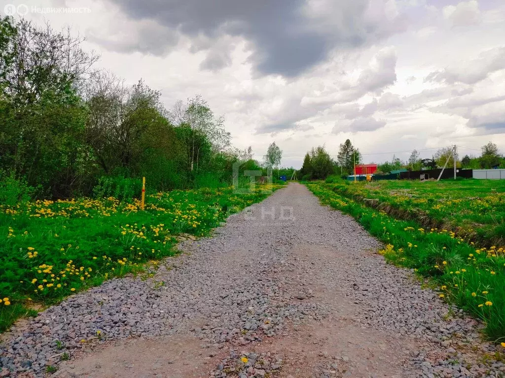 Участок в деревня Пустошка, Садовая улица, 4А (12.8 м) - Фото 1