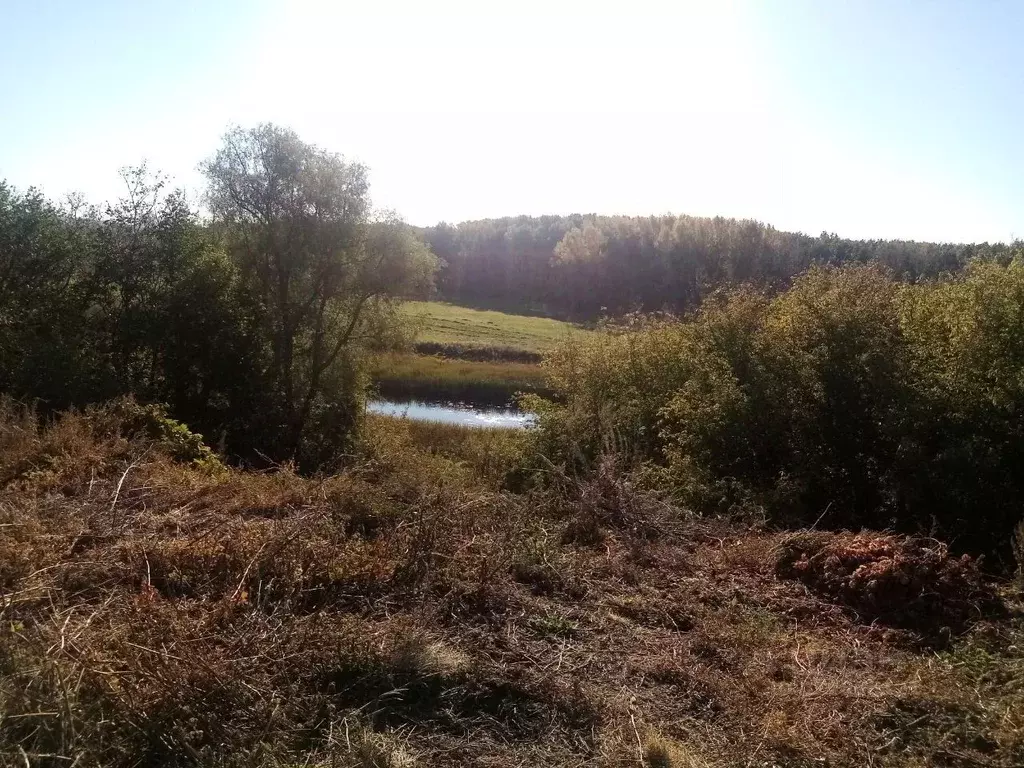 Дом в Саратовская область, Вольский район, Терсинское муниципальное ... - Фото 2