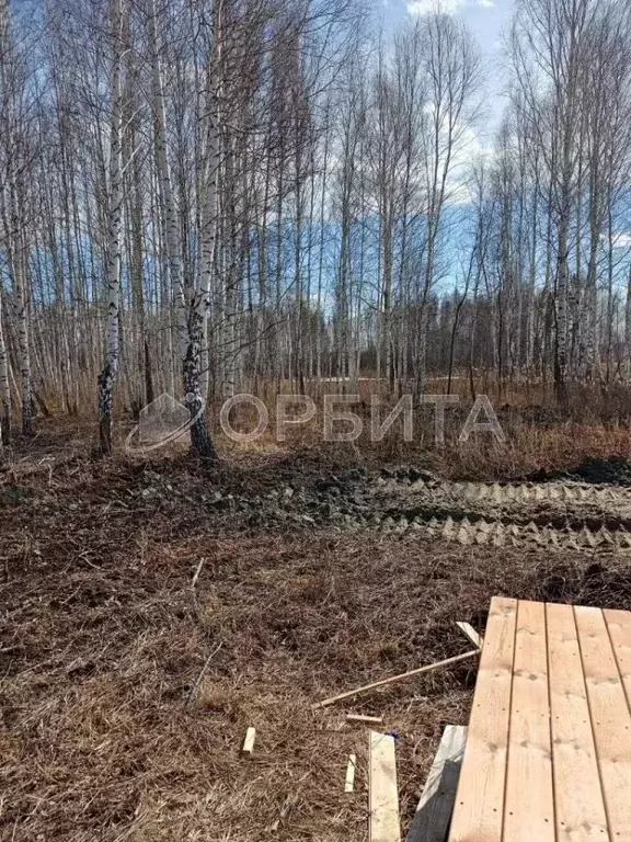 Участок в Тюменская область, Тюмень Родные Просторы кп, ул. Родные ... - Фото 2