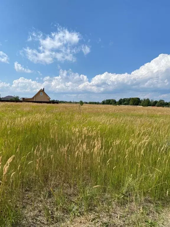 Участок в Самарская область, Ставропольский район, с. Ягодное пер. ... - Фото 1