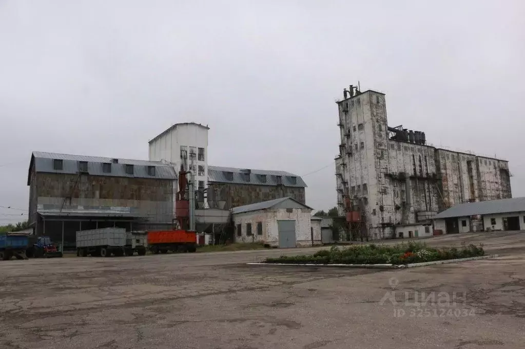 Производственное помещение в Саратовская область, Екатериновка рп ул. ... - Фото 1