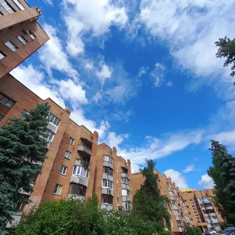 3-к кв. Московская область, Электросталь Восточная ул., 6 (74.0 м) - Фото 1