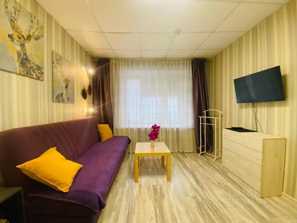 1-к кв. Вологодская область, Череповец Пионерская ул., 23Б (26.0 м) - Фото 1