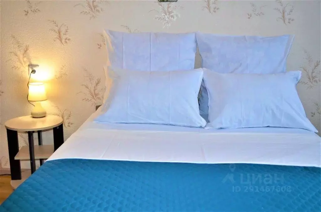 1-к кв. Московская область, Балашиха Железнодорожный мкр, ул. Струве, ... - Фото 2