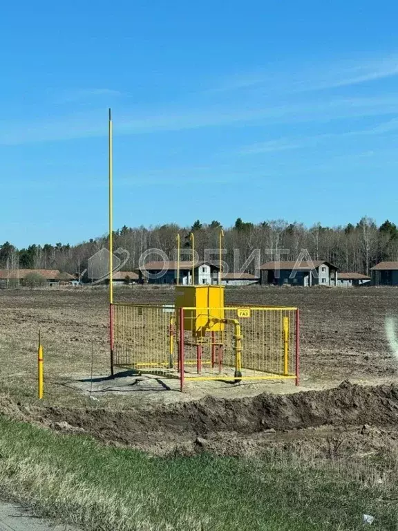 Участок в Тюменская область, Тюменский муниципальный округ, Каменское ... - Фото 2