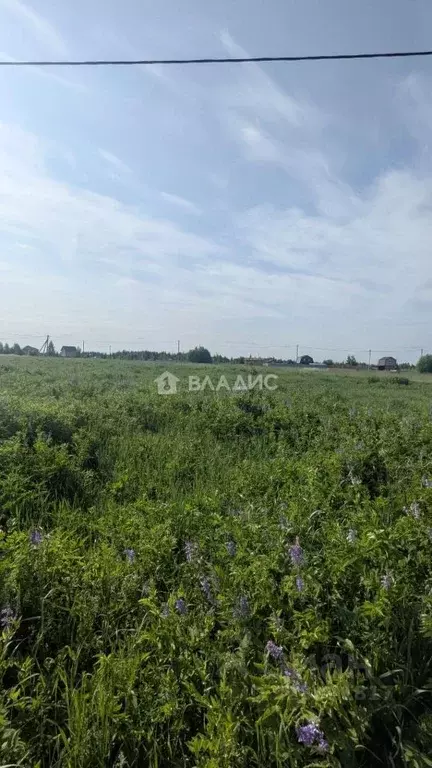 Участок в Марий Эл, Йошкар-Ола городской округ, д. Шоя-Кузнецово ул. ... - Фото 1