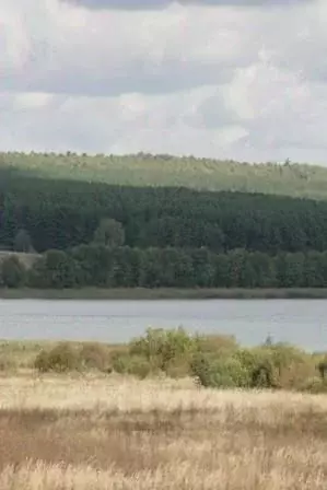 Участок в Нижегородская область, Богородский район, д. Инютино ул. ... - Фото 0