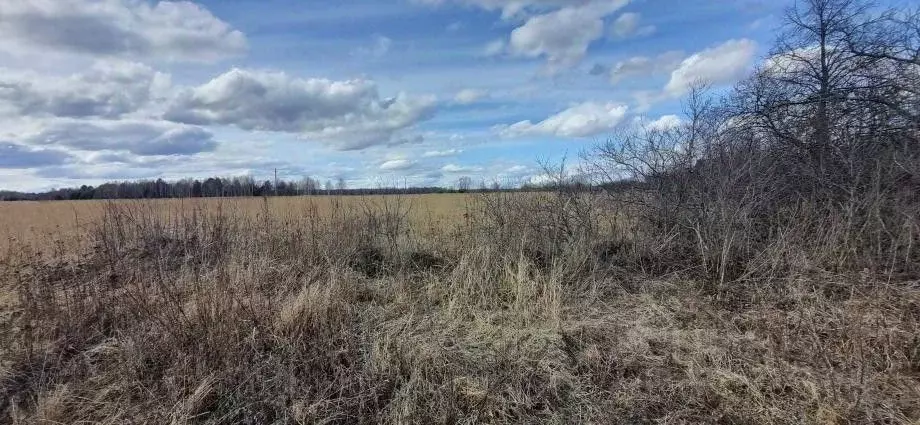 Участок в Владимирская область, Меленковский муниципальный округ, д. ... - Фото 2