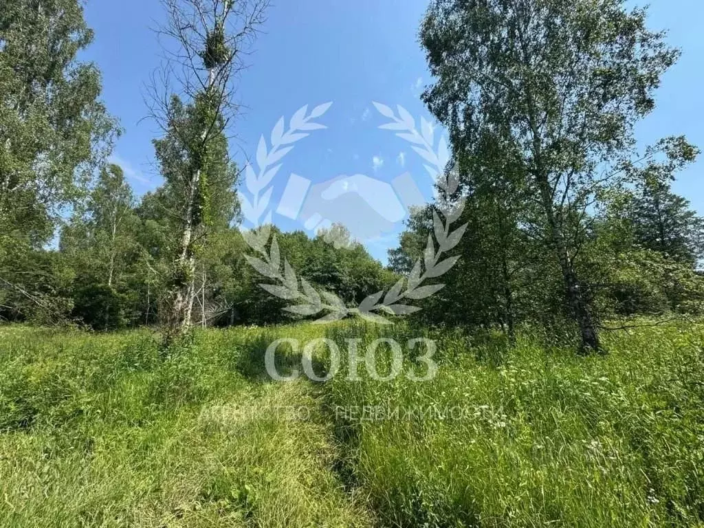 Участок в Калужская область, Дзержинский район, Совхоз имени Ленина ... - Фото 2