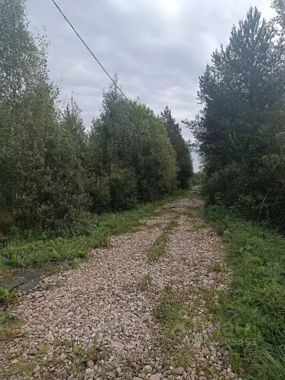 Дом в Новгородская область, Новгородский район, Савинское с/пос, ... - Фото 1