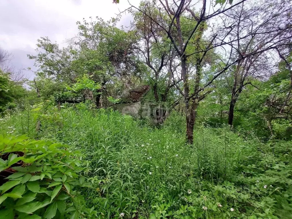 Участок в Белгородская область, Белгород Луч садовое товарищество,  ... - Фото 1