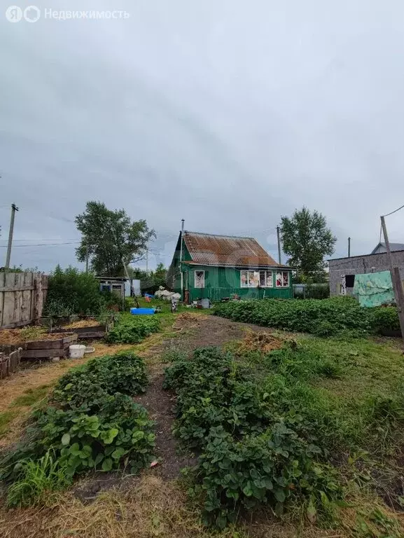 Дом в Курганская область, Шадринский муниципальный округ, село ... - Фото 2