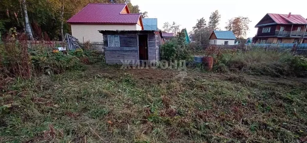 Участок в Новосибирская область, Новосибирский район, Кубовинский ... - Фото 1