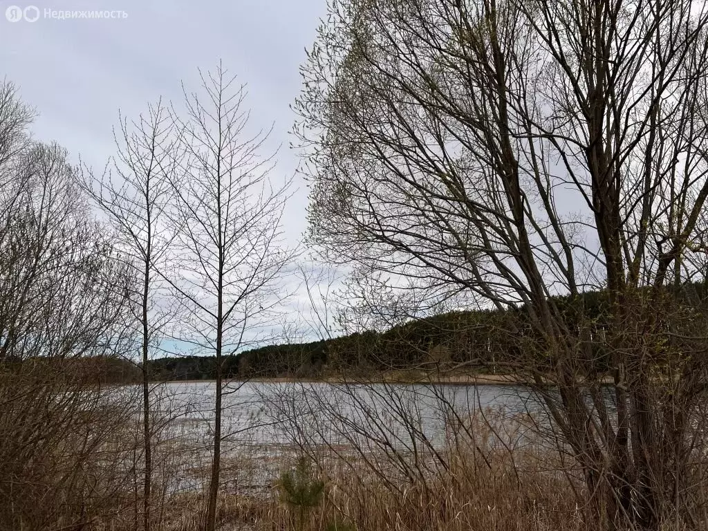 Участок в Брянск, улица Чайковского, 131 (13 м) - Фото 1