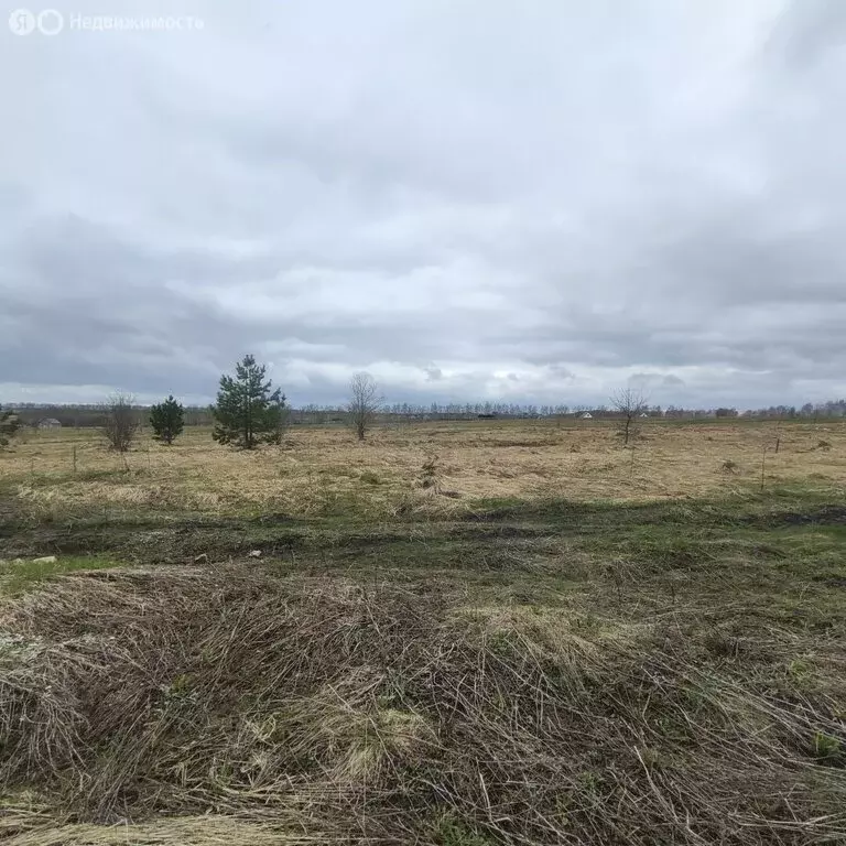 Участок в село Бессоновка, улица Кудряшова, 315 (10 м) - Фото 2
